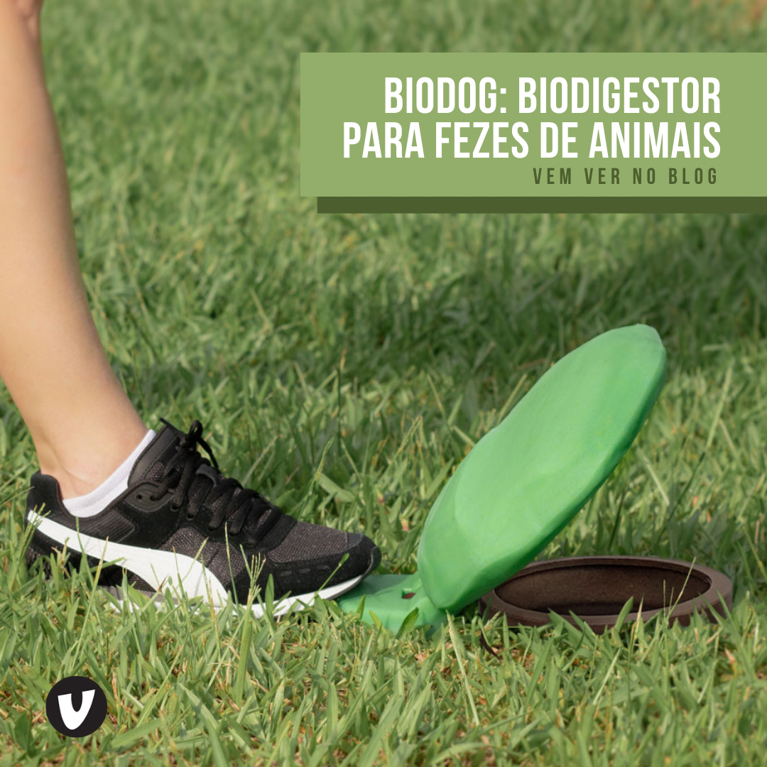 Biodigestor pra fezes de cachorro doméstico: Biodog