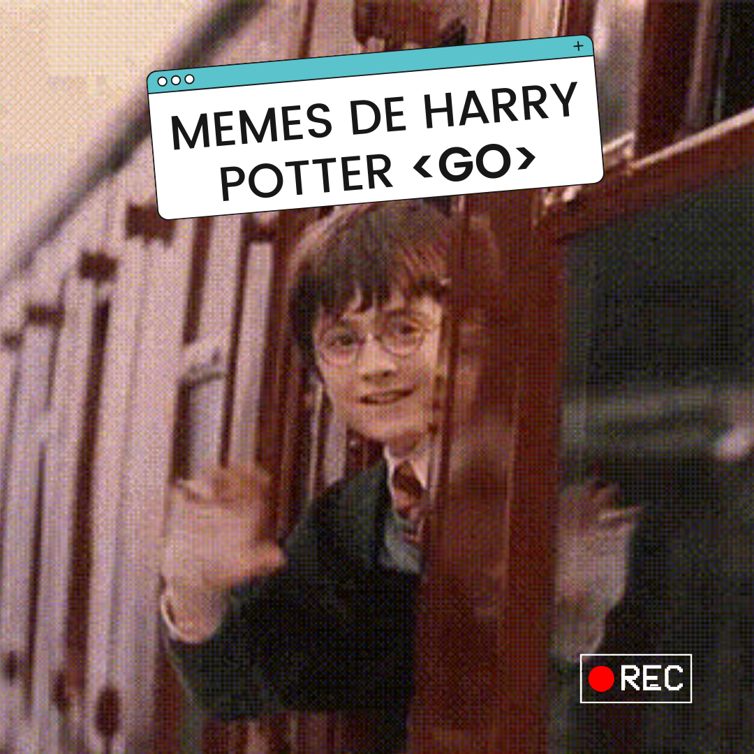 Bem-vindos ao mundo mágico dos memes de Harry Potter! ✨