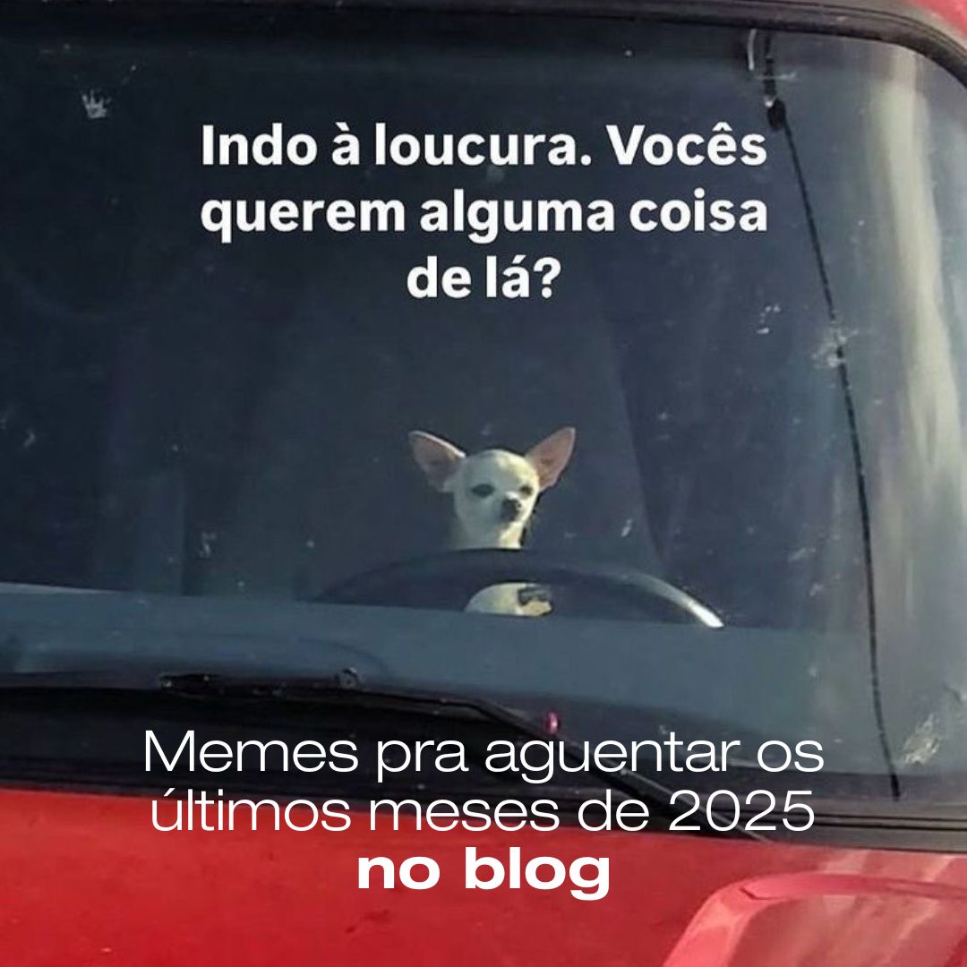 Memes pra aguentar os últimos meses de 2025￼